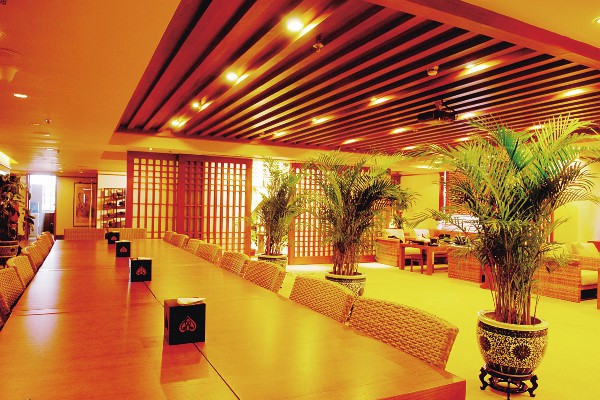 猫晚成都养生攻略：体验成都夜生活的健康之道(成都夜猫夜市)